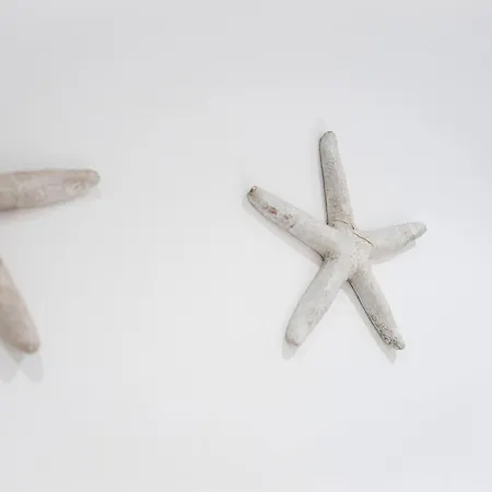 Earra - Xarma - Centro Y 2 Min. Playa, Zona Tranquila Apartman *